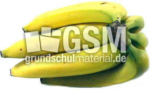 Bananen-6.jpg